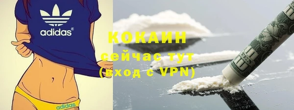 ешки Алексин