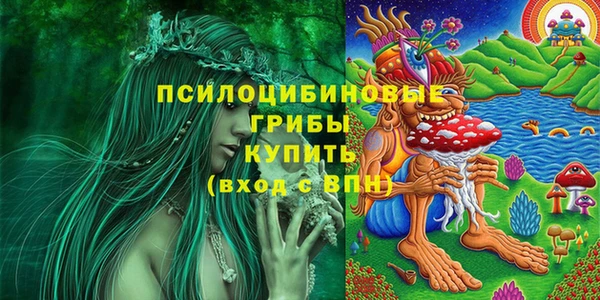метадон Аркадак