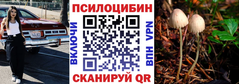Псилоцибиновые грибы Psilocybine cubensis  мега ONION  Кириши 