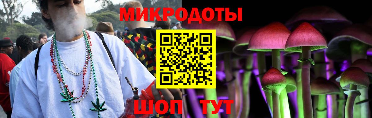 Кириши  Псилоцибиновые грибы Cubensis  наркотики  Вход с VPN 
